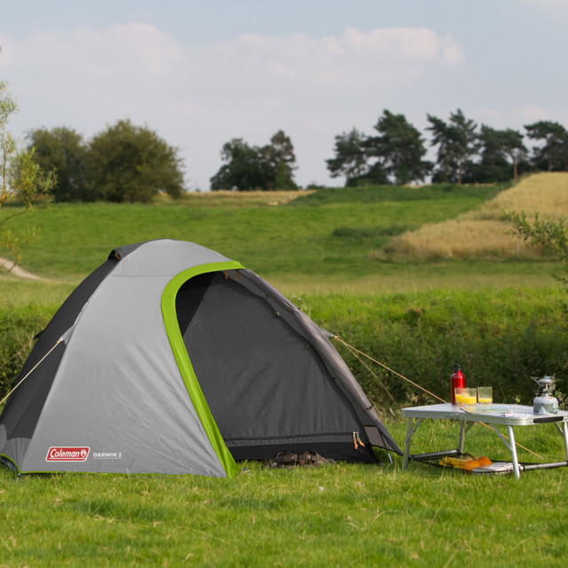 Cort Coleman Darwin 2 gri [7]