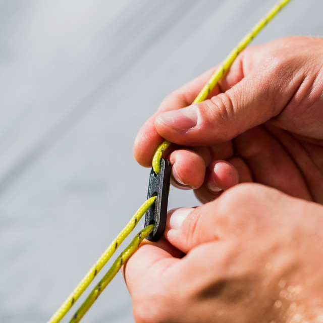 Cort Coleman Darwin 3 Plus [6]