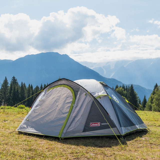 Cort Coleman Darwin 4 Plus [5]