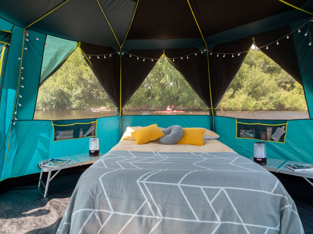 Cort Coleman Octagon BlackOut [6]