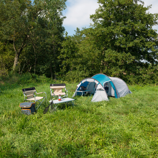 Cort Coleman Cortes 2 albastru [3]