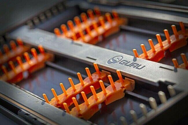 CUTIE PT.MONTURI XL [3]