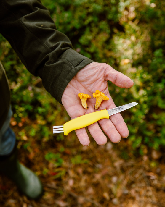 Cutit pentru ciuperci Marttiini cu agatatoare si teaca piele, lama 65 mm [3]