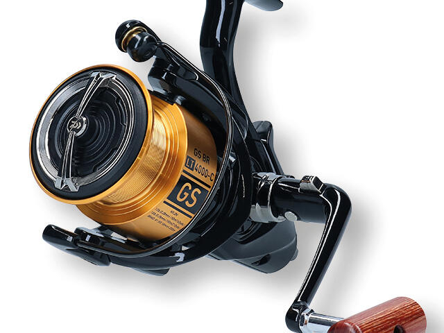 MULINETA DAIWA GS BR LT 5000C [2]
