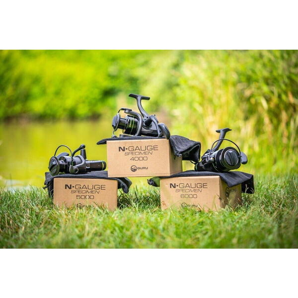 MULINETA GURU N-GAUGE SPECIMEN 6000 [2]