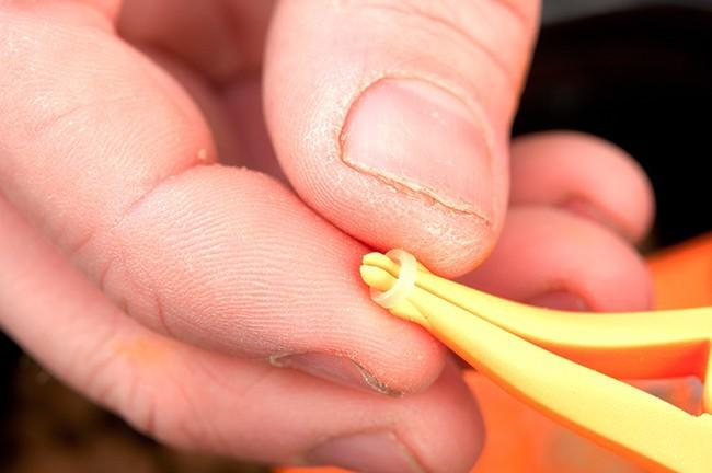 PENSA PT. PELETTE [3]