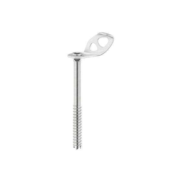 Piton Petzl laser screw 21cm [2]