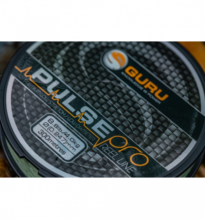 PLUSE PRO 0.24MM/8.8LB/300M [2]