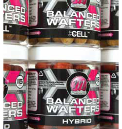 BOILIES POP-UP MAINLINE ESSENTIAL CELL BALANCED WAFTER [2]