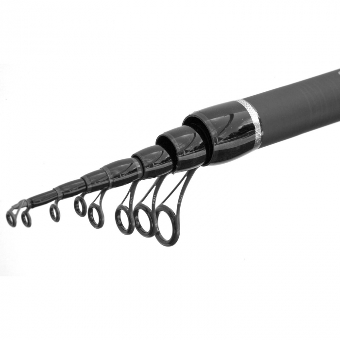 LANSETA TELESCOPICA LINEAEFFE POSEIDON BOLO ROD 5 M / 45G [2]