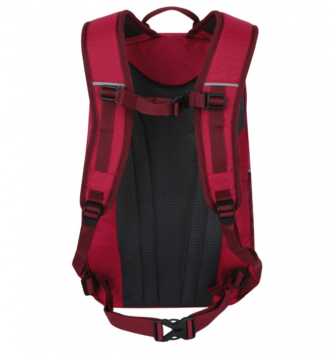 Rucsac Hannah City 25 litri, roz [3]