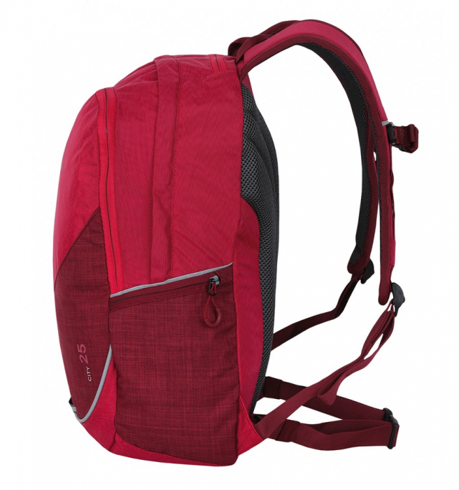 Rucsac Hannah City 25 litri, roz [2]