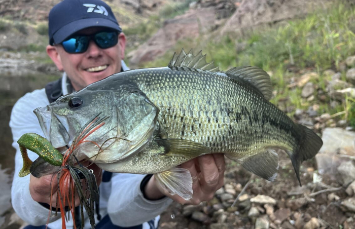 Shad Daiwa D FIN 12.5 cm, 5 buc / plic, UV real motor oil [2]