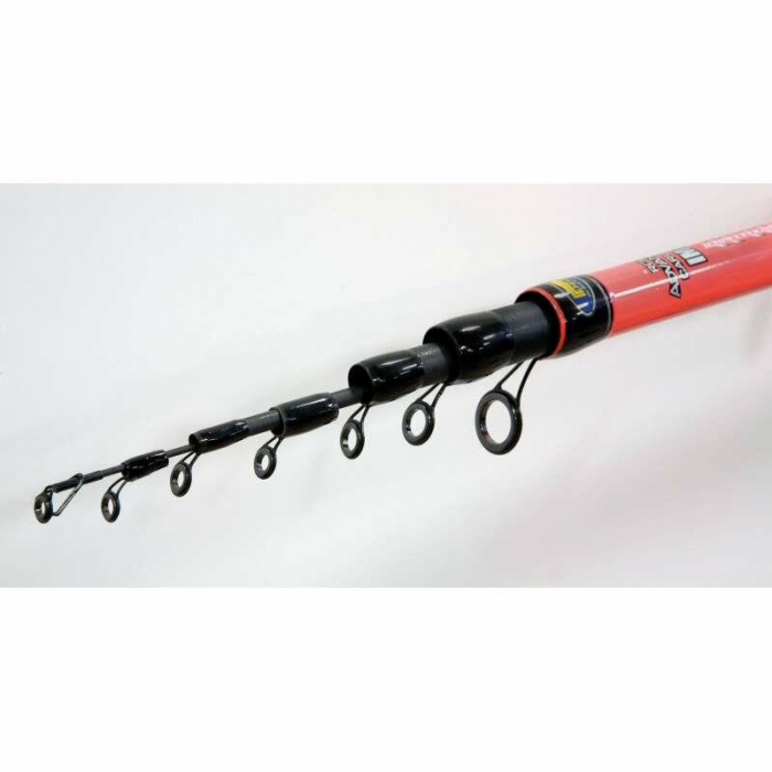 LANSETA TELESCOPICA LINEAEFFE CARBON 6,00 M/25G [3]