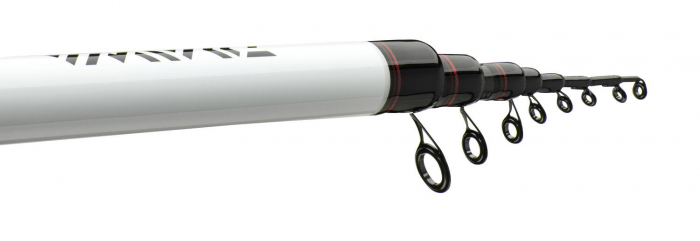 LANSETA BOLOGNEZA DAIWA NINJA 6,00M/25G [2]