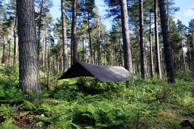 Tenda XL Prelata Coyote Brown DD Hammocks 450 x 300 cm [3]