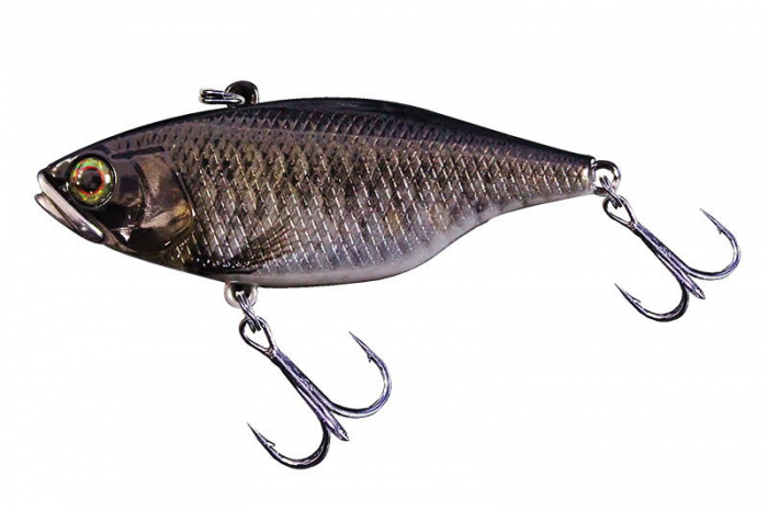 VOBLER JACKALL TN60 FULL TUNGSTEN 6CM/13G RT SCHOOL KOBUNA [1]