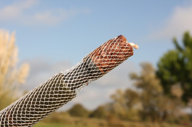 REZERVA PLASA PVA LONG CAST KLCFW L=5 M, KORDA [3]