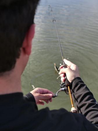 Mulineta Daiwa 23 Airity ST SF 2000SSP [4]