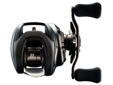 MULTIPLICATOR DAIWA 24 STEEZ SV TW 100XHL [1]