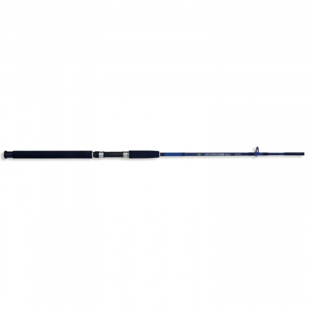Lansete pescuit stationar - LANSETA LINEAEFFE CASPIAN PRO ROD 2,40 M / 100-250G, 2 BUC
