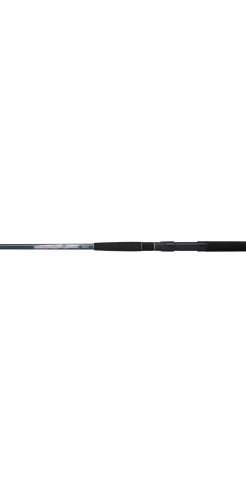 LANSETA DAIWA MEGAFORCE BOAT 21MH 2,40M/50-150G [1]