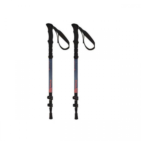 Bete drumetie - BETE DRUMETIE TERNUA KATUL