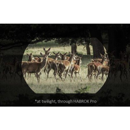 Binoclu cu termoviziune Hikmicro Habrok Pro HX60LS 1920x1080 [5]