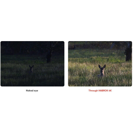 Binoclu cu vedere termica Hikmicro Habrok 4K HE25LN LRF 5,5-22X60 256X192 64GB [7]