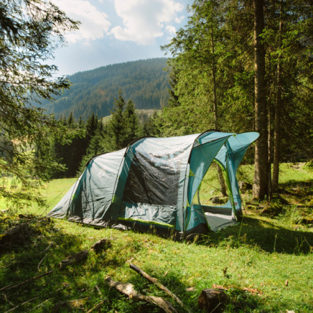 Cort Coleman Aspen 4 [7]