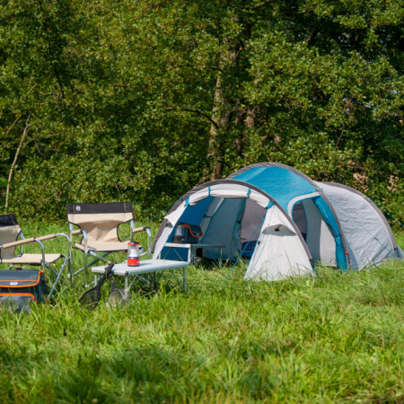 Cort Coleman Cortes 3 albastru [5]