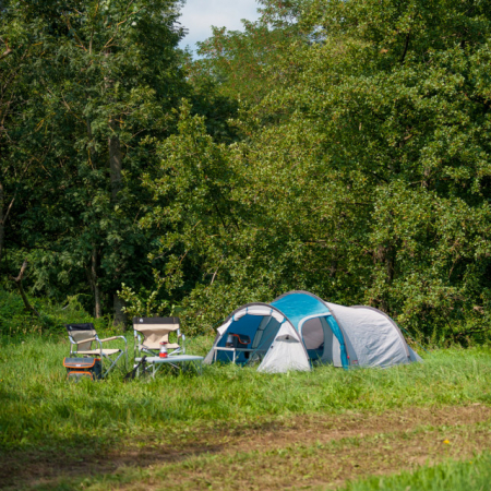 Cort Coleman Cortes 3 albastru [3]