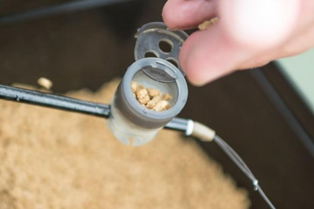 CUTIE PT.NADA MAR. L [3]