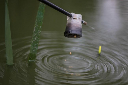 CUTIE PT.NADA MAR. L [2]