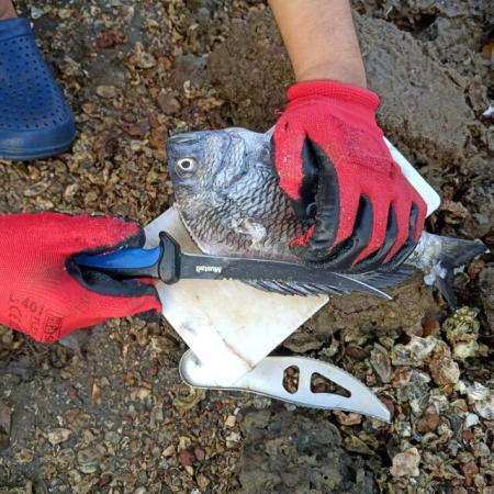 Cutit filetat Mustad lama teflonata 17.8 cm cu teaca [5]