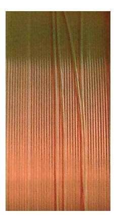 FIR MONOFILAMENT MUSTAD CARP SPECIAL 023MM/3,6KG/1200M [1]