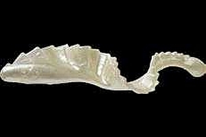 Naluci soft - GRUB MISTER TWISTER 8 CM PERL, 4 BUC / PLIC