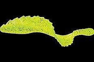 Naluci soft - GRUB MISTER TWISTER 8 CM VERDE/GLITER, 4 BUC / PLIC