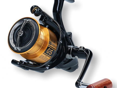 MULINETA DAIWA GS BR LT 5000C [1]