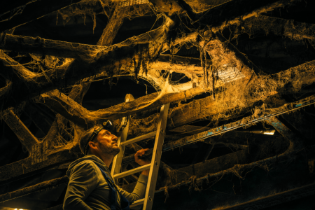 LANTERNA FRONTALA LED LENSER H5R WORK 500 LUMENI, REINCARCABILA [2]