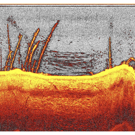Modul Downscan undervision pentru navomodel de nadire Deeper Quest [6]