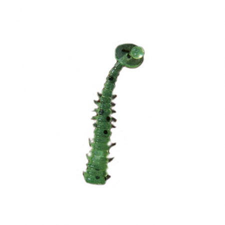 SPORTURI - NALUCA SOFT NOMURA AKI 3CM/0,17G GLITER GREEN 12 BUC / PLIC