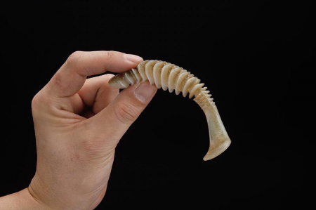 Shad Jackall Dead Slower 12 cm, SK dark thunder, 5 buc / plic [6]