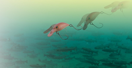 Vobler Jackall Panicra DR 3.2 cm, 3.6 g, yonesty glow [5]