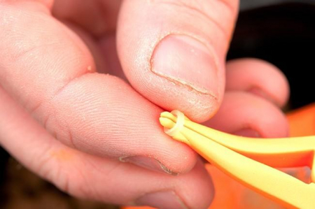 PENSA PT. PELETTE [2]