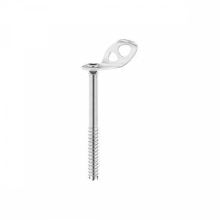 Piton Petzl laser screw 21cm [1]