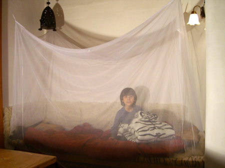 Plasa tantari Brettschneider Standard Box I [3]