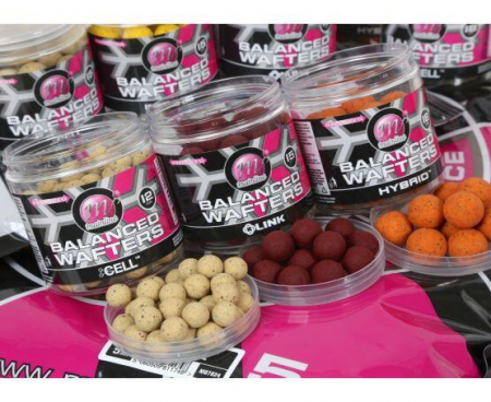 SPORTURI - BOILIES POP-UP MAINLINE WAFTER CELL
