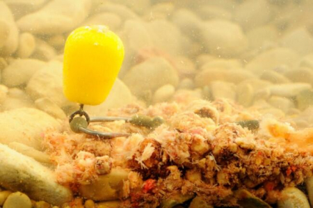 PORUMB ARTIFICIAL KORDA POP-UP MAIZE CITRUS ZING LIME 10 BUC / PLIC [2]