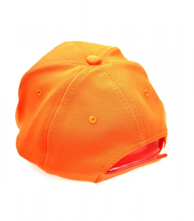 SAPCA WINCHESTER ORANGE BLAZE [1]